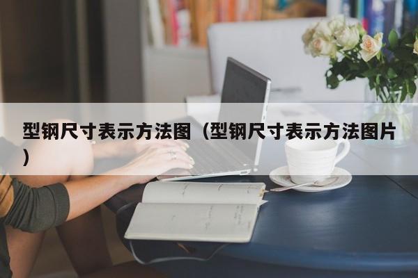 型钢尺寸表示方法图（型钢尺寸表示方法图片）