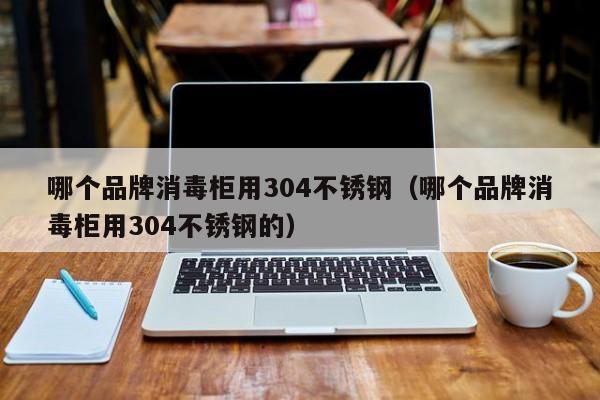 哪个品牌消毒柜用304不锈钢（哪个品牌消毒柜用304不锈钢的）