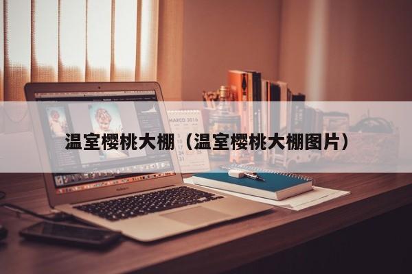 温室樱桃大棚（温室樱桃大棚图片）